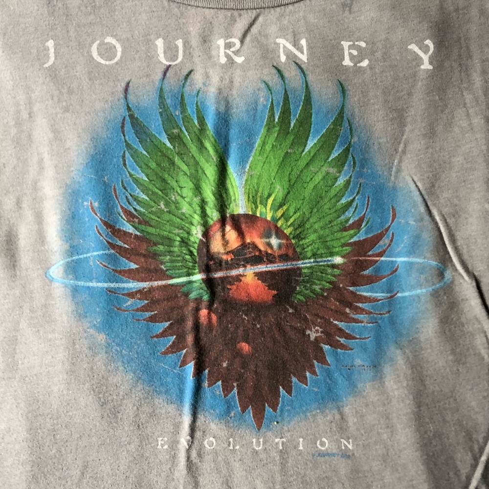 Courtship + Suitors Journey vintage band t
